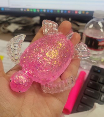 sugar squeeze turtle 2
